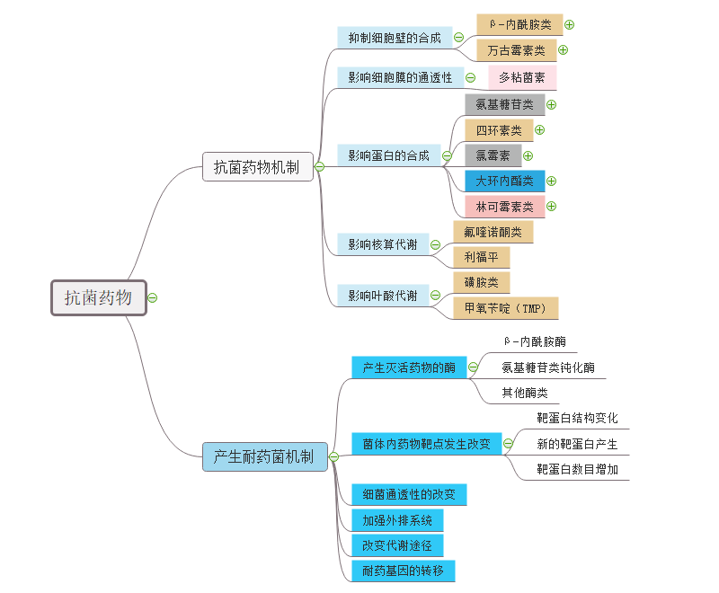 抗菌药物思维导图