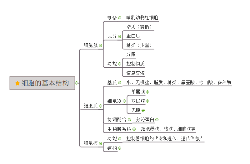 生物必修一思维导图第三章