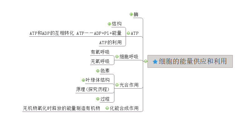 生物必修一思维导图第五章