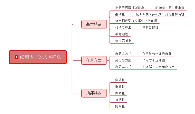 细胞因子