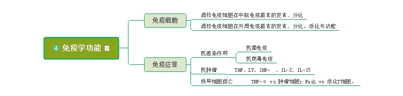 细胞因子