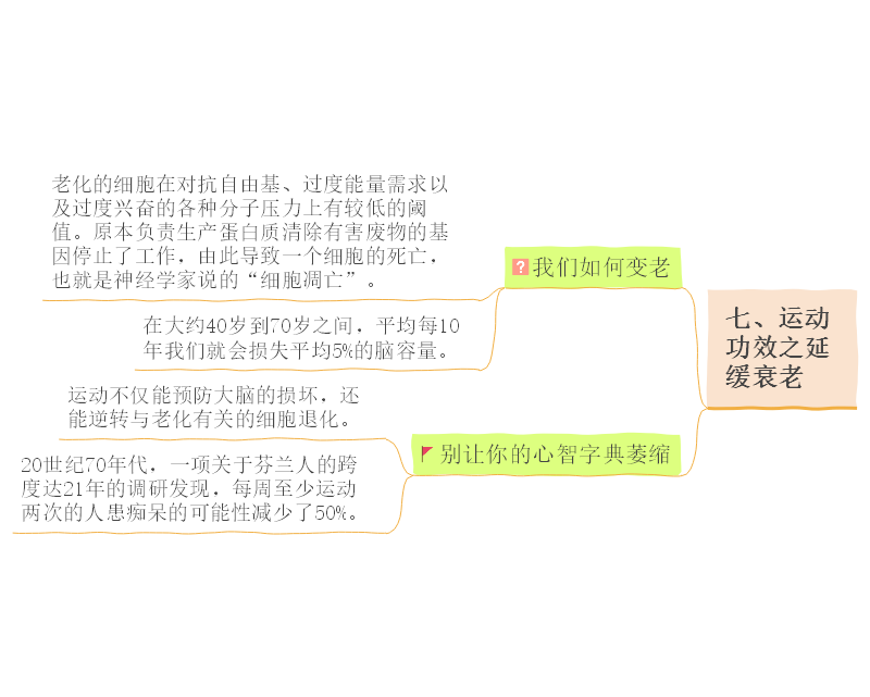 运动改造大脑