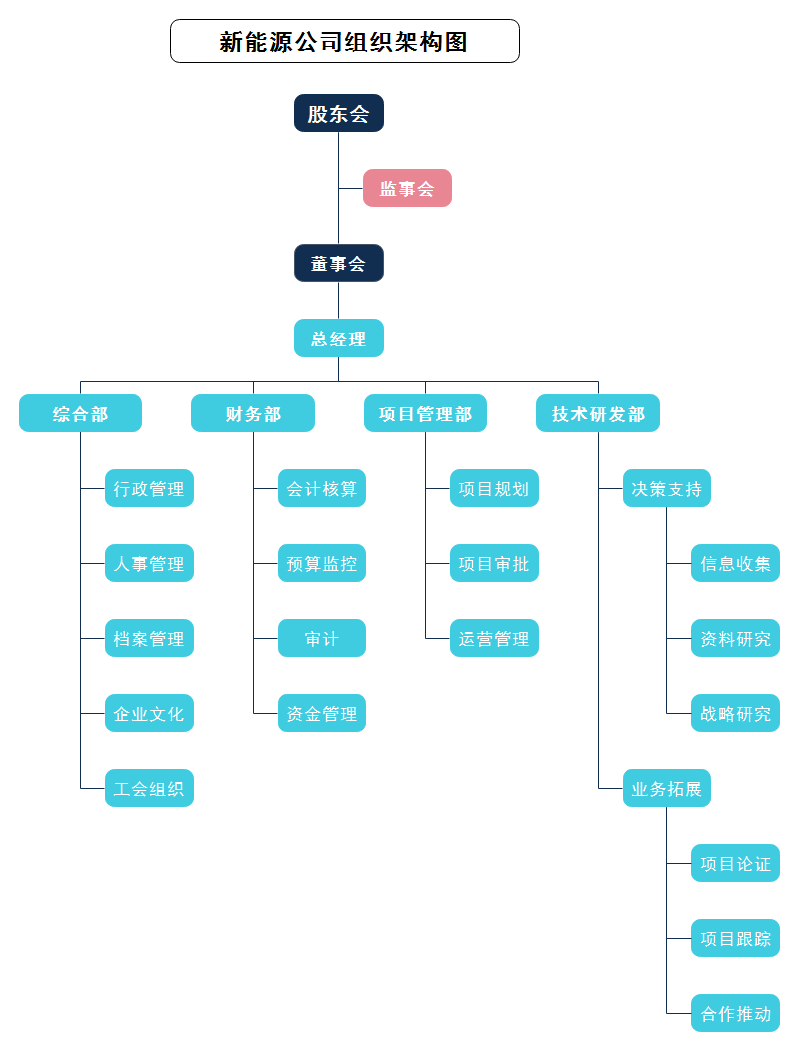 新能源公司组织架构图