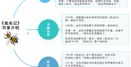 昆虫记思维导图