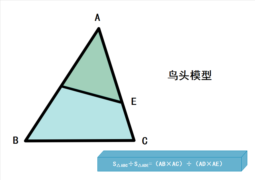 鸟头模型