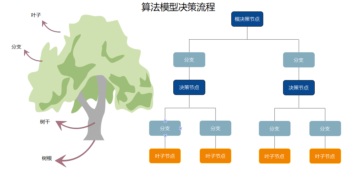 算法模型