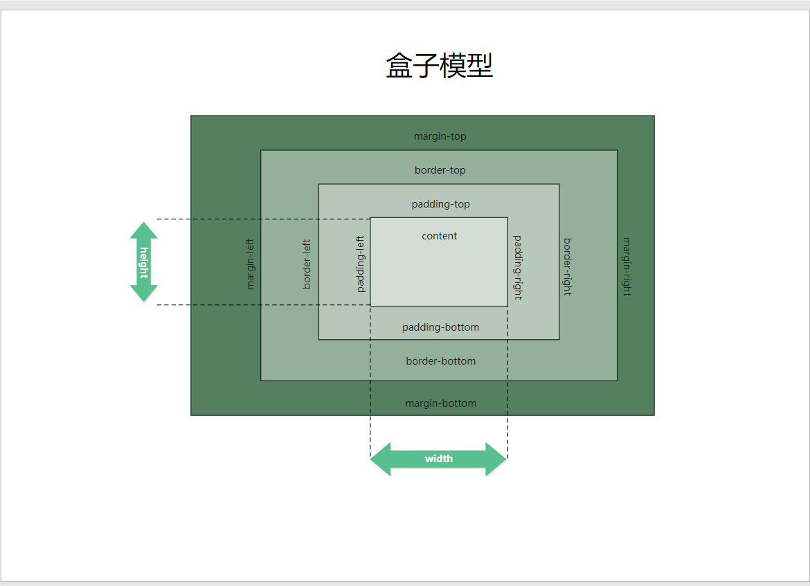 盒子模型