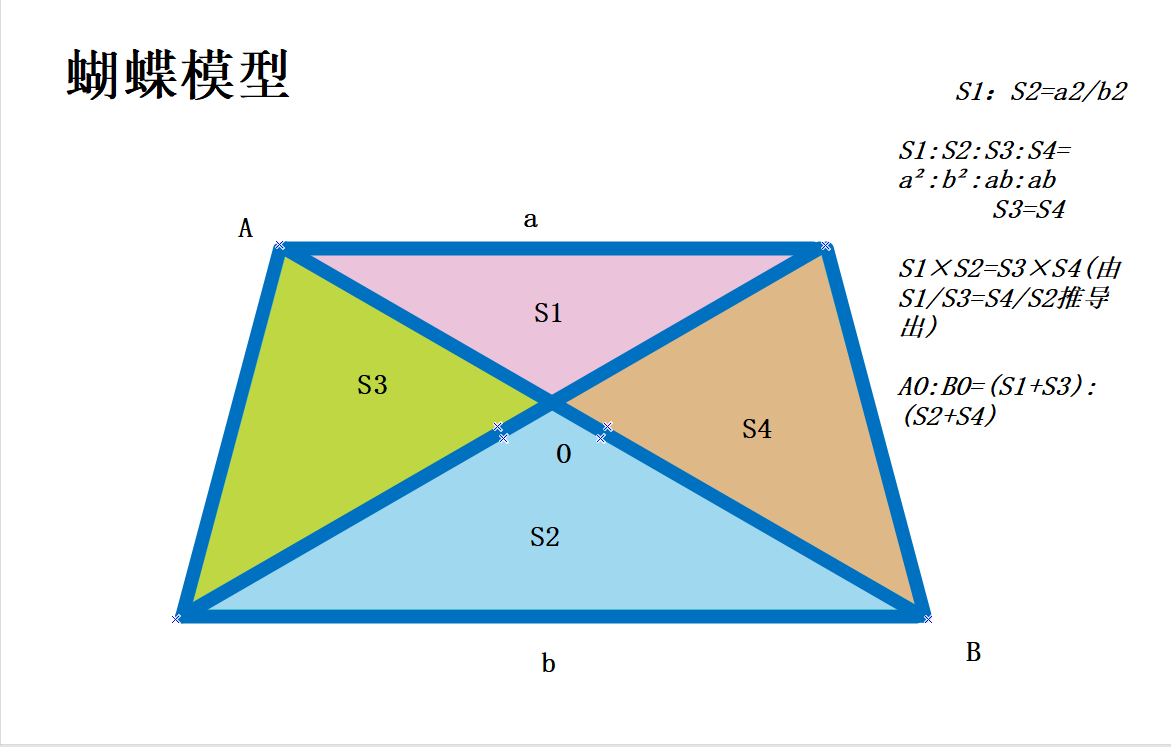 蝴蝶模型